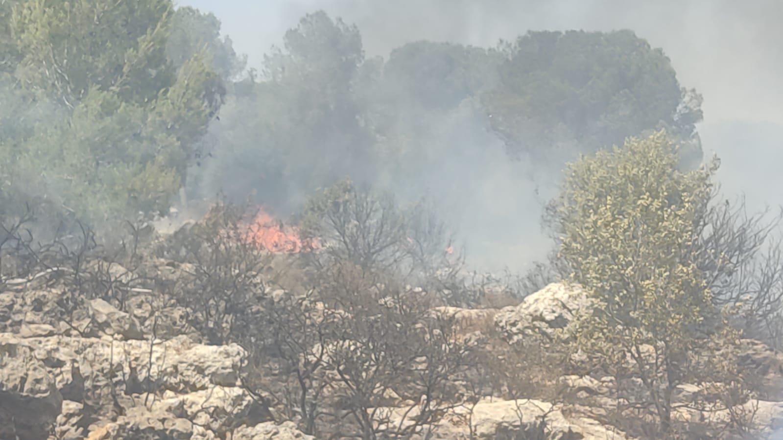 צילום: כב טרור השריפות: 7 נקודות הצתה סמוך לקבר שמואל הנביא – הופעל סיוע חוצה מחוזות