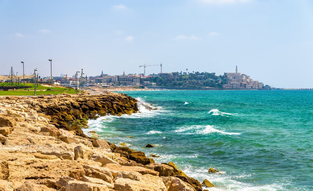 צילום: FREEPIK פרוייקט פארק בבלי: מה כדאי לדעת?