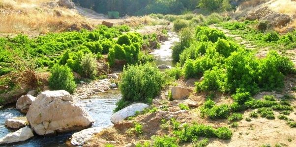 שני ערבים נעצרו בחשד לביצוע מעשים מגונים במספר נערות יהודיות בנחל פרת