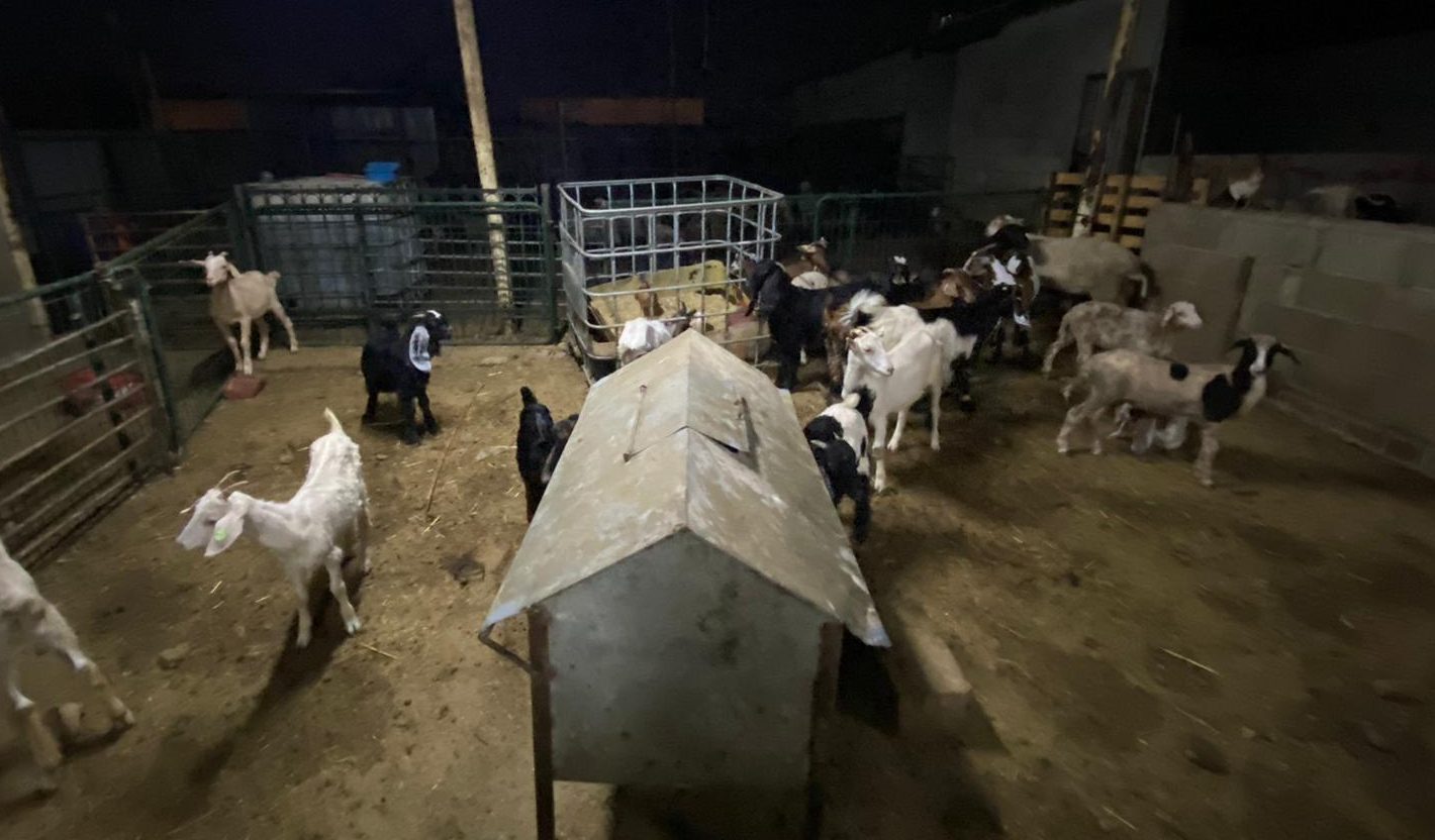 בקבוקי תבערה ואבנים הושלכו לעבר כוחותינו שפעלו למעצר גנבים בעקבת ג'בר