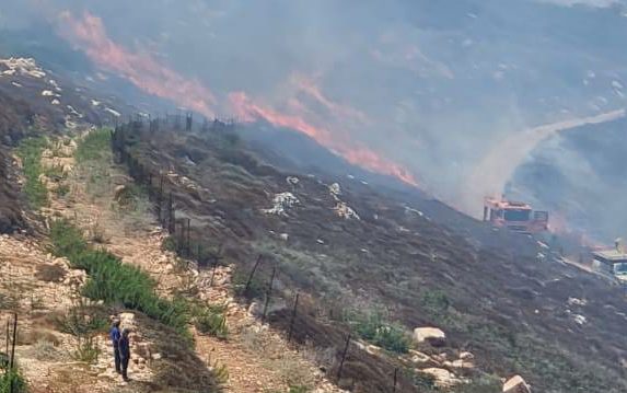 צילום: תיעוד מבצעי כב הטרור ממשיך להכות: מחבלים הציתו שריפה ביצהר – צוותים רבים פועלים במרחב