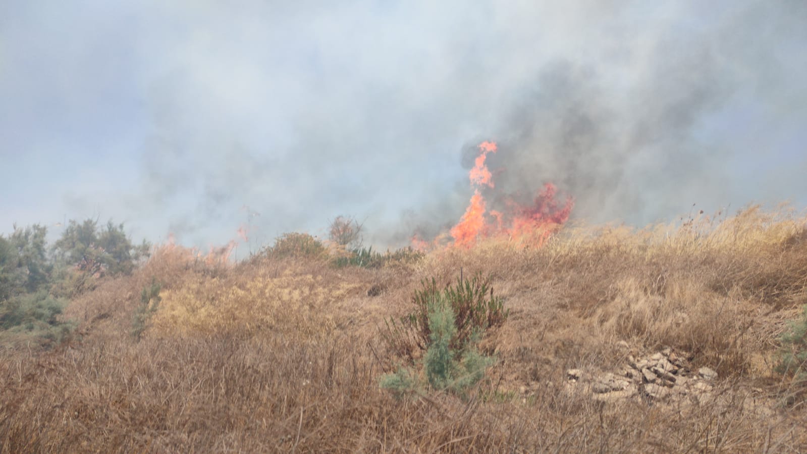 שריפה פרצה בשטח פתוח סמוך לתחנת לב המפרץ