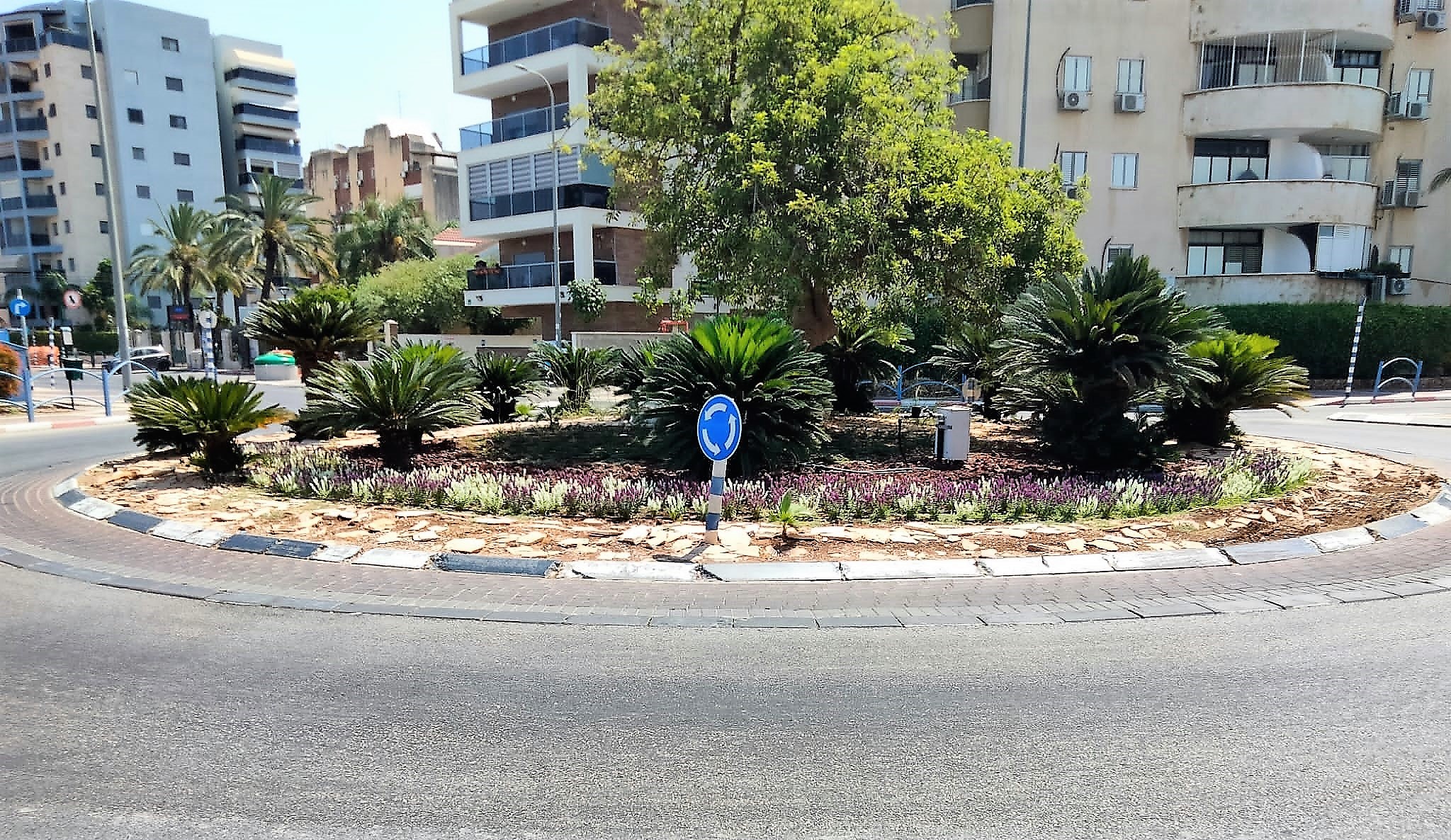 היעד: עד לראש השנה יישתלו רבע מיליון צמחים רב-עונתיים לקראת שנת השמיטה