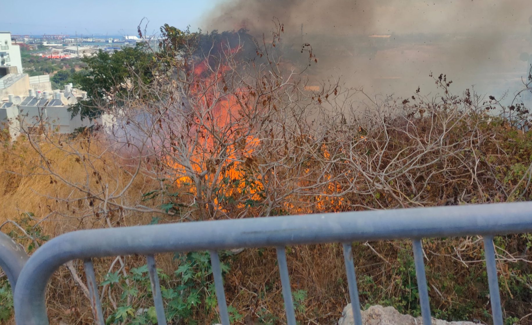 שבוע טוב עם ישראל | סיכום חדשות השבת