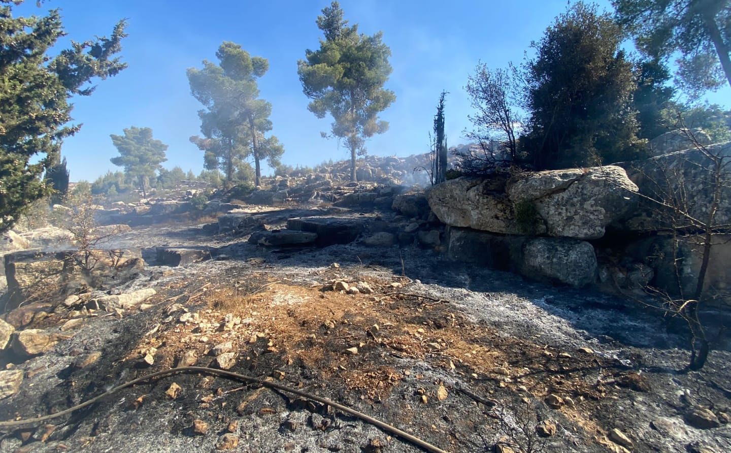צילום: כב טרור השריפות: הסתיימו פעולות כיבוי השריפה בפארק בגין
