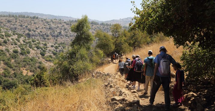 צילום: יעקב נעמי, פלאש 90 טרגדיה בנחל עמוד | מתנדב ברשות הטבע והגנים נהרג במהלך ניסיון חילוץ משפחה שנקלעה למצוקה