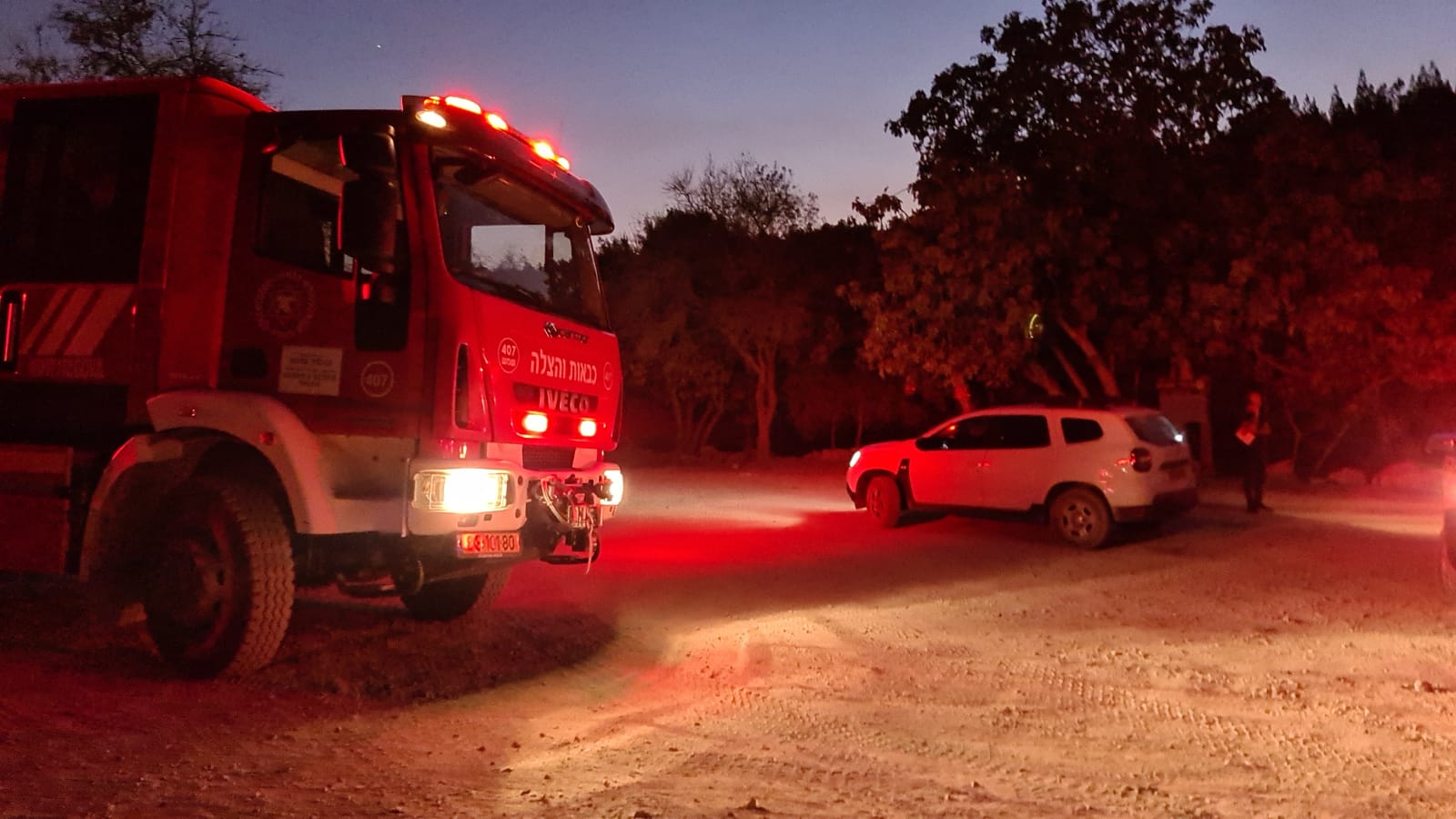 אשה נעצרה בחשד להצתת השריפות בפארק בגין