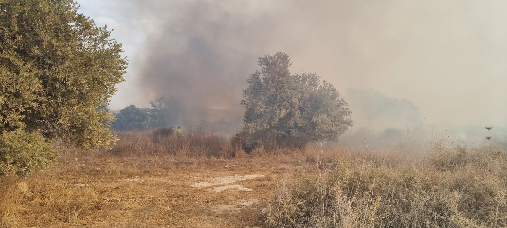 שריפה גדולה פרצה ביער שוהם – כוחות פועלים במרחב