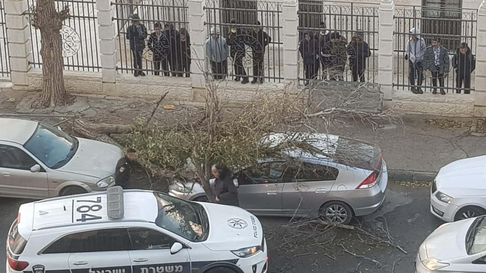 נס: עץ קרס מול ביה
