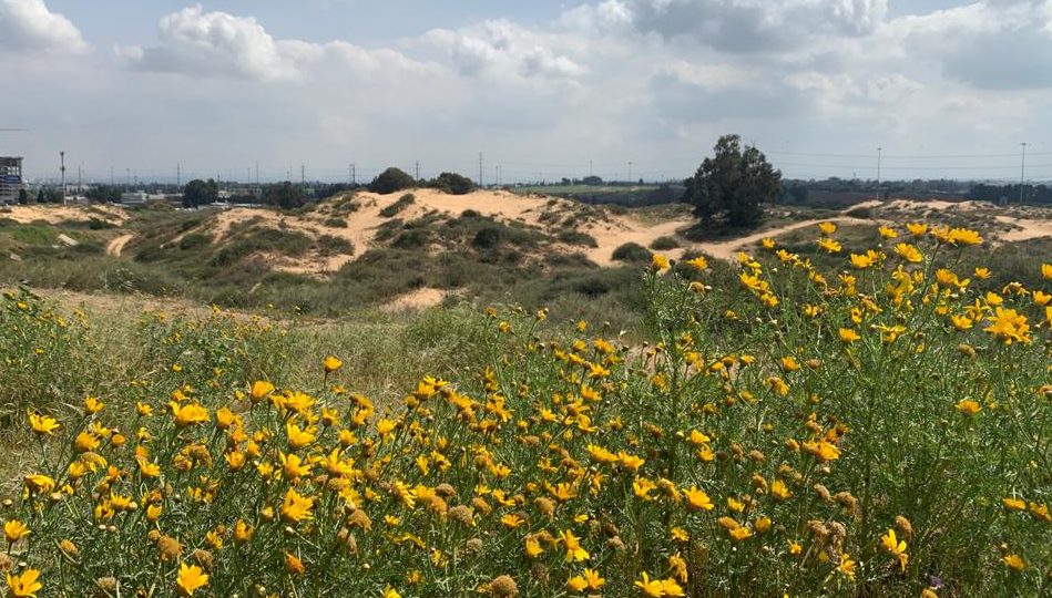 צילום: עיריית חולון תושבי חולון מוזמנים להשתתף בתחרות צילומי טבע עירוני