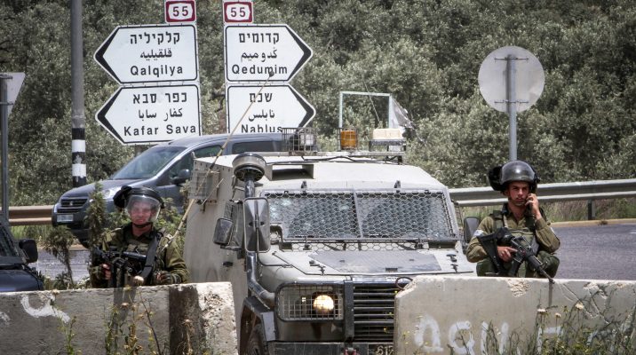 צילום: נאסר ישתיא, פלאש 90 הנשיא הרצוג:
